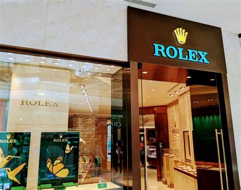 rolex store in tampa